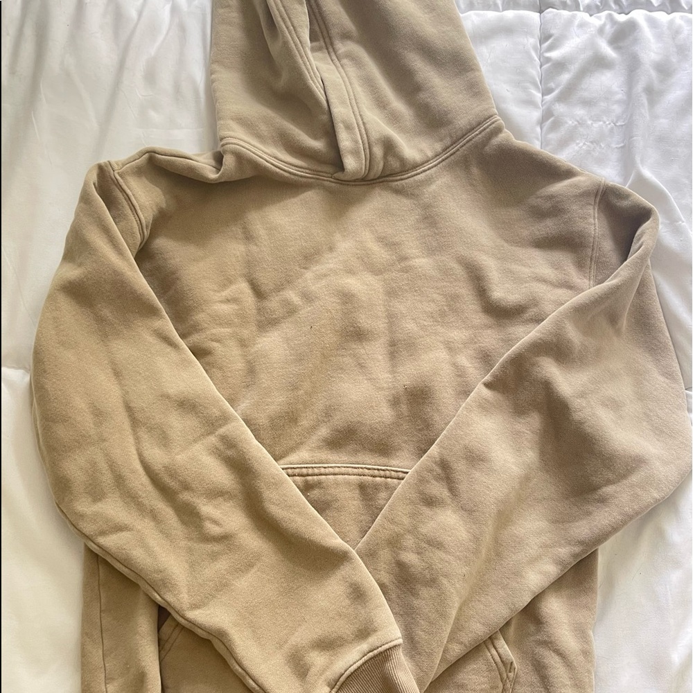 Aritzia Hoodie